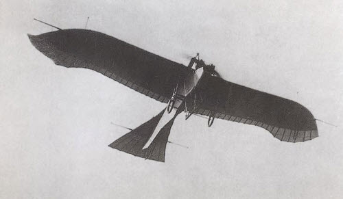 De eerste Duitse militaire vliegtuigjes werden 'Tauben' (duiven) genoemd